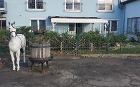 Grosse 3 Zi Wohnung Auf Der Pferde Farm