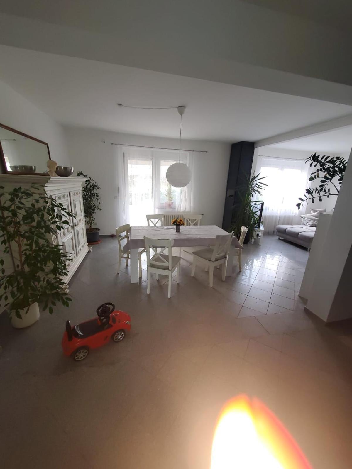 Grosse 3 Zi Wohnung Auf Der Pferde Farm Lahr  Exterior foto