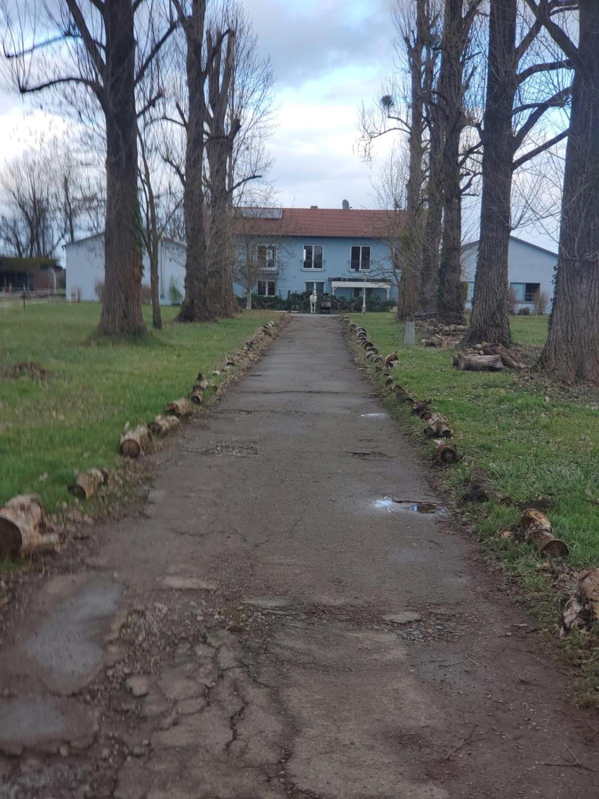 Grosse 3 Zi Wohnung Auf Der Pferde Farm Lahr  Exterior foto
